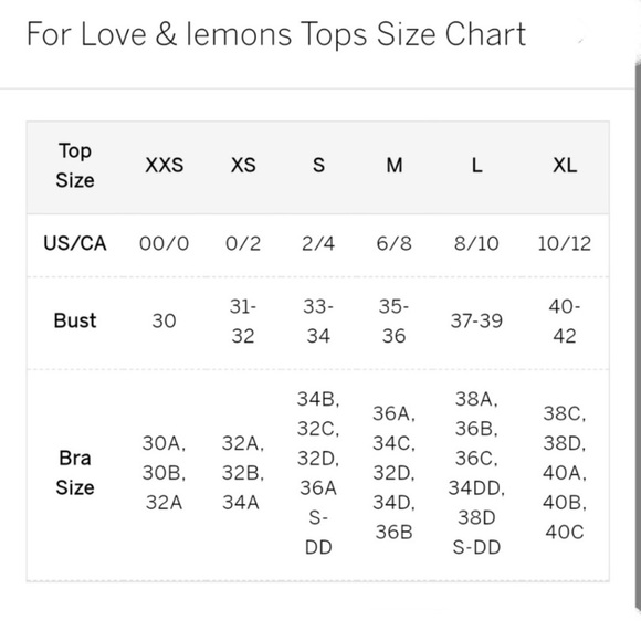 NWT FOR LOVE AND LEMONS BUSTIER - Picture 7 of 7